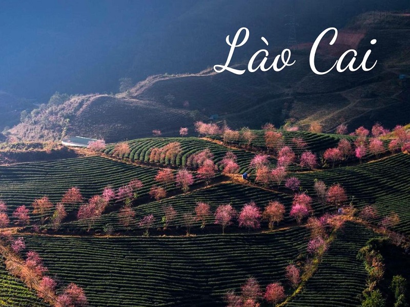 LÀO CAI