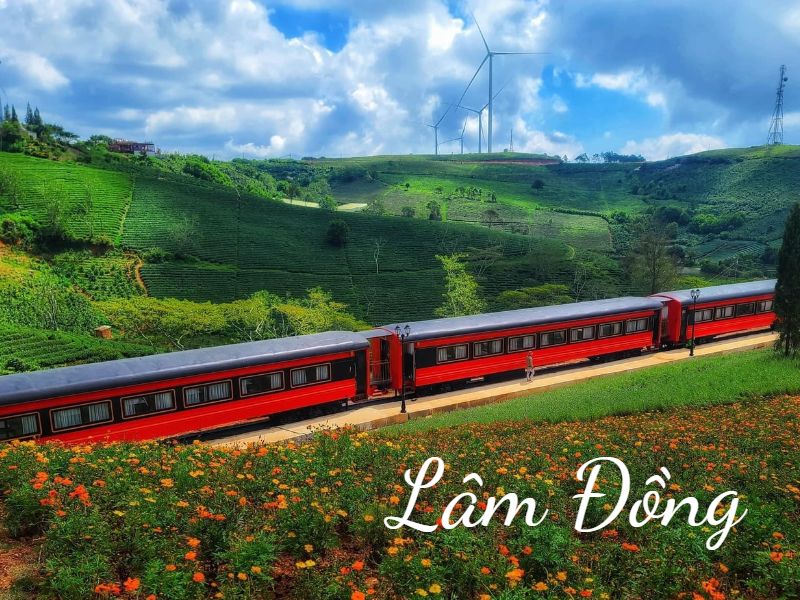 LÂM ĐỒNG